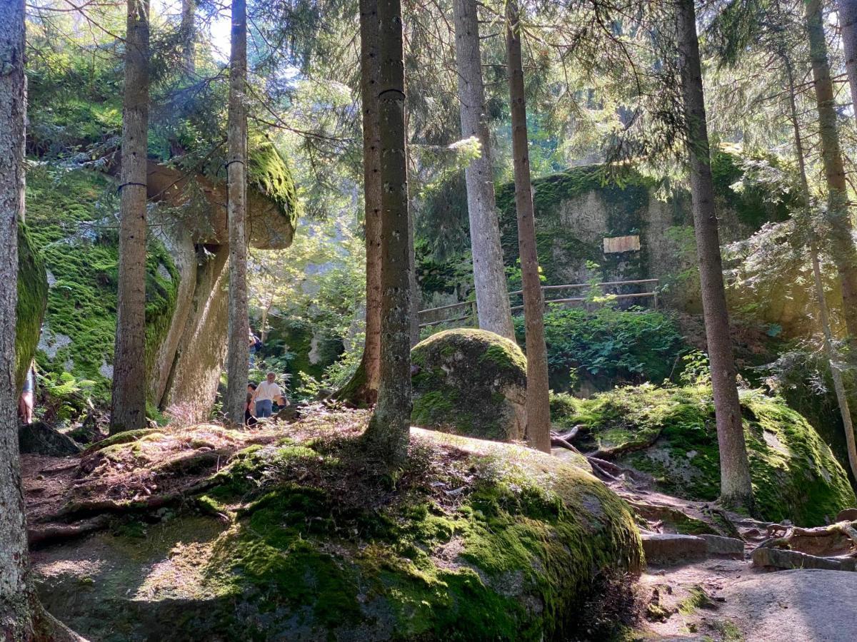 Ferienwohnung Oxana Im Naturpark Fichtelgebirge Schonwald  Bagian luar foto