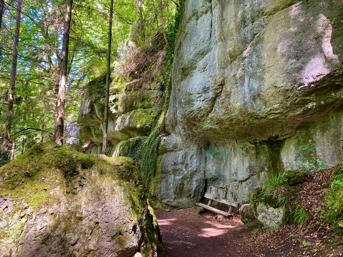 Ferienwohnung Oxana Im Naturpark Fichtelgebirge Schonwald  Bagian luar foto
