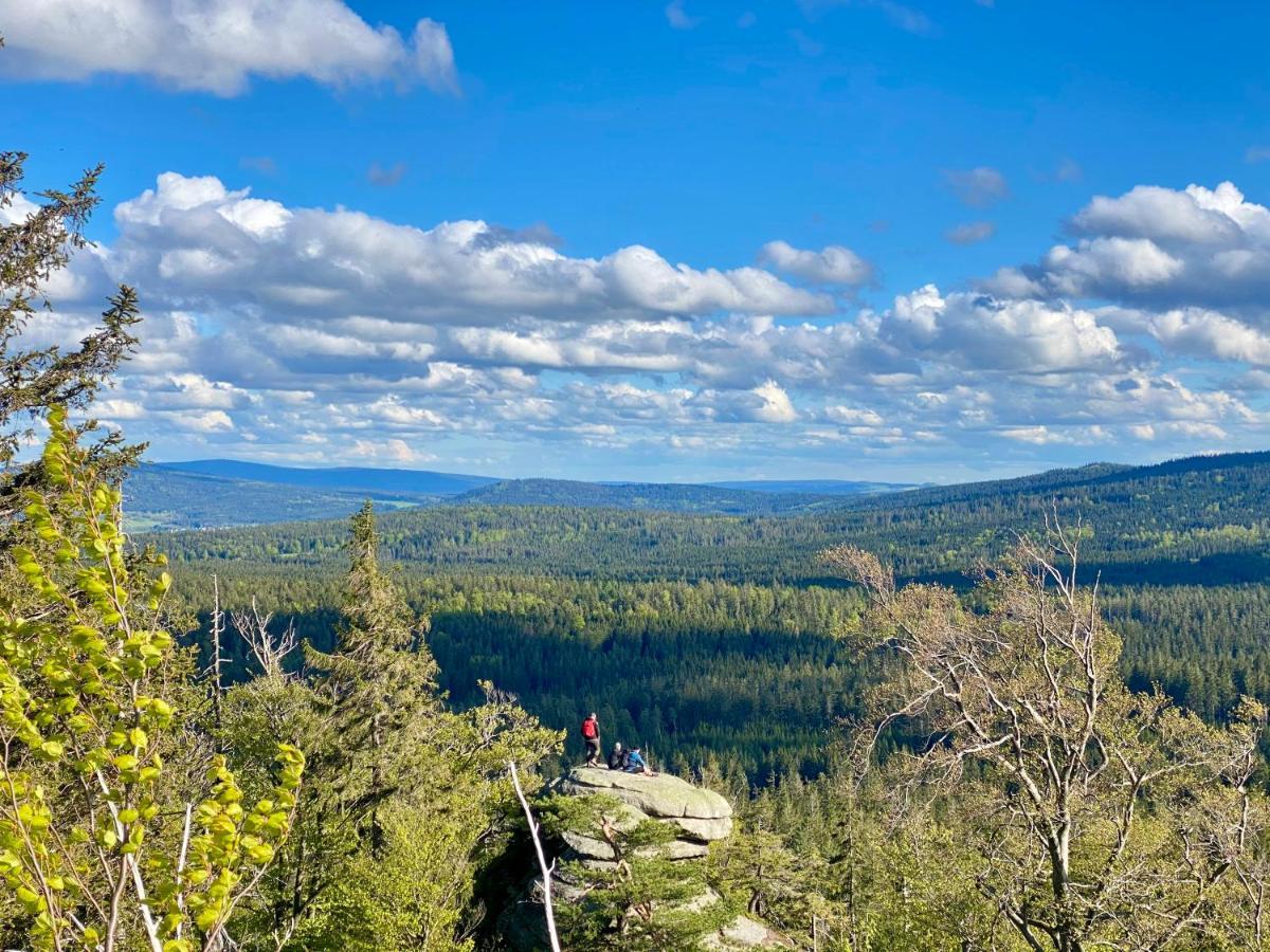 Ferienwohnung Oxana Im Naturpark Fichtelgebirge Schonwald  Bagian luar foto