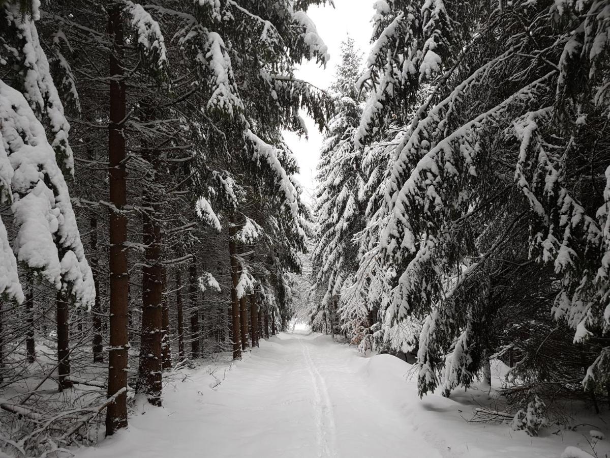 Ferienwohnung Oxana Im Naturpark Fichtelgebirge Schonwald  Bagian luar foto
